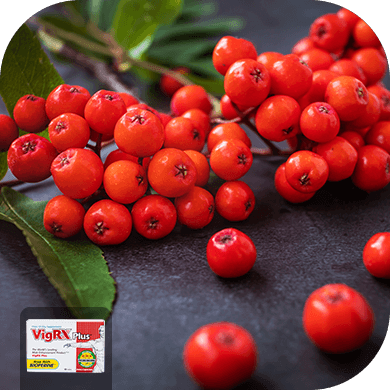 Hawthorne Berry